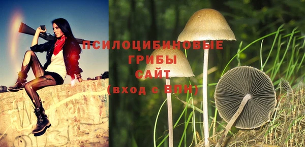 таблы Алексеевка